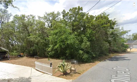 26 Olive Drive