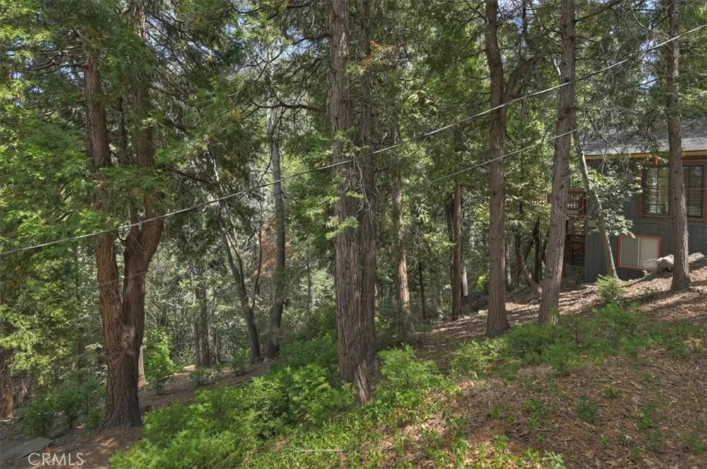 515 View Lake Arrowhead, CA 92352