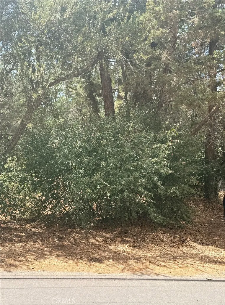 Imperial Avenue Sugarloaf, CA 92386
