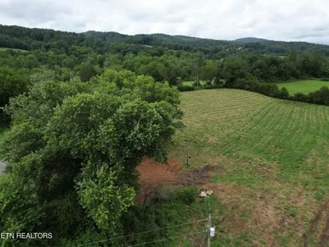 317 Singleton Hollow Rd