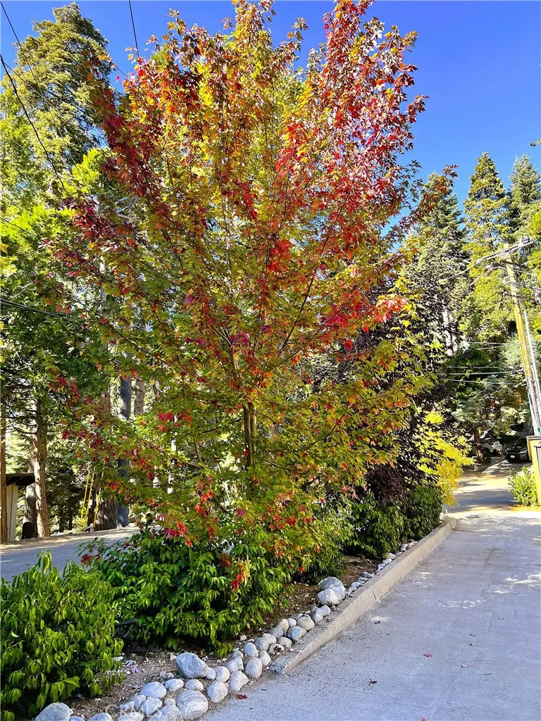 863 Oak Lake Arrowhead, CA 92385