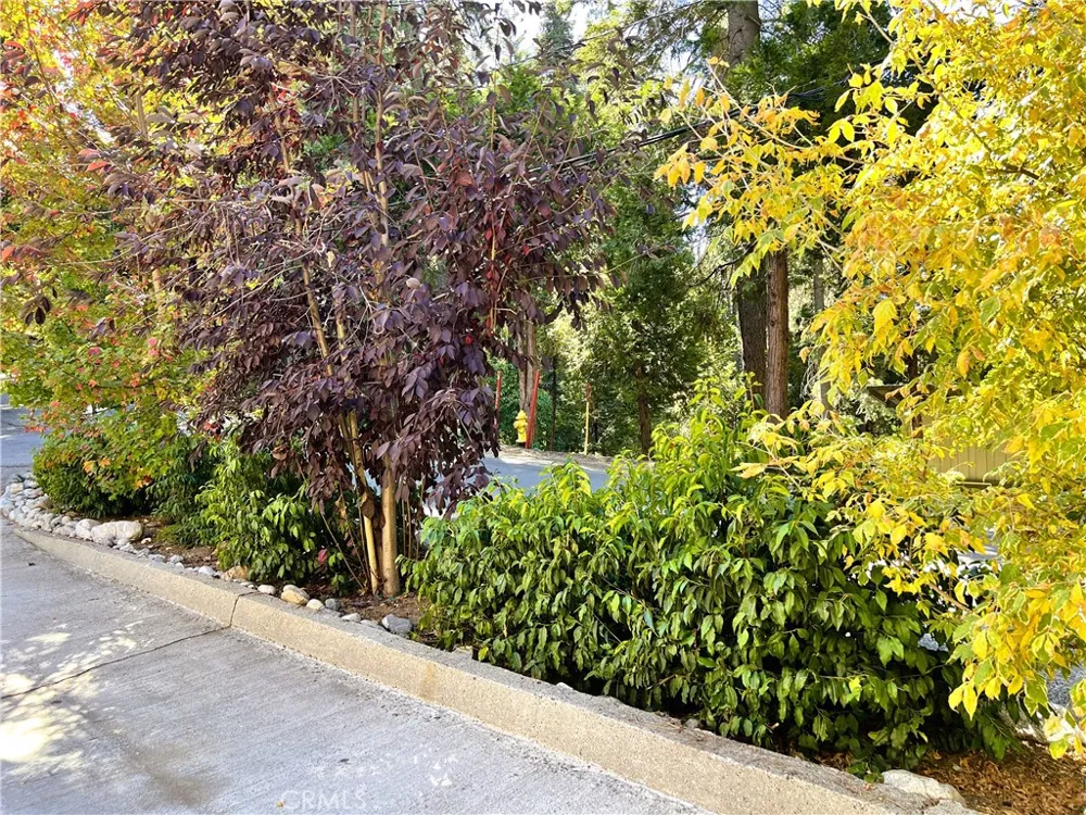 863 Oak Lake Arrowhead, CA 92385