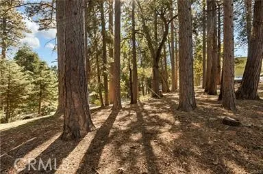 Valley View Running Springs, CA 92382