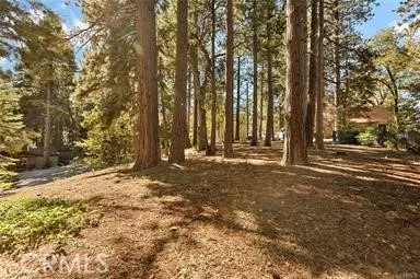 Valley View Running Springs, CA 92382