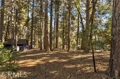 Valley View Running Springs, CA 92382