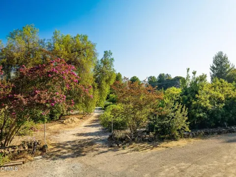 Grand Avenue