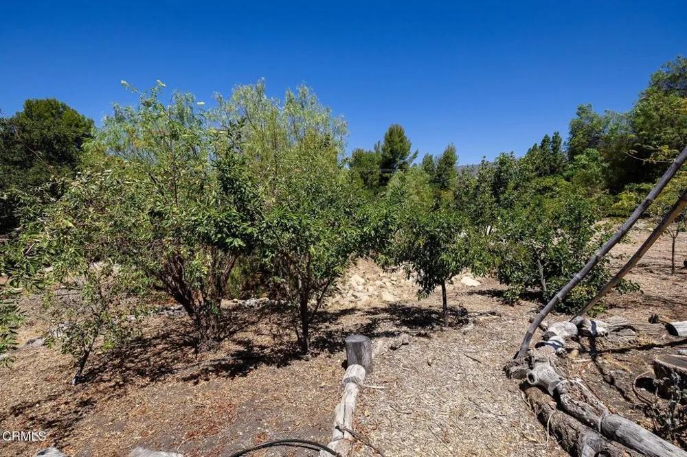 Grand Avenue Ojai, CA 93023