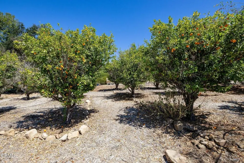 Grand Avenue Ojai, CA 93023