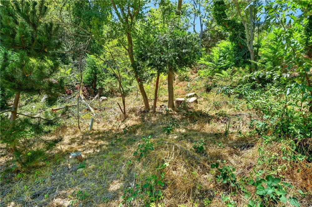 17940 Helen Way Los Gatos, CA 95033