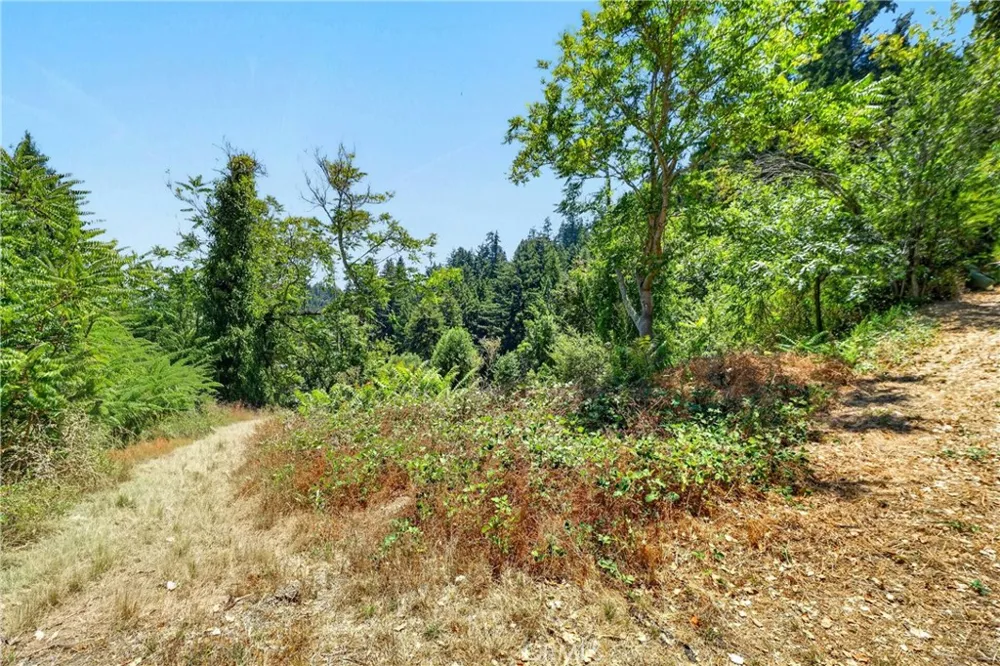 17940 Helen Way Los Gatos, CA 95033