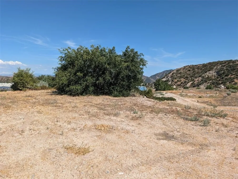 6263 Dusty Phelan, CA 92371