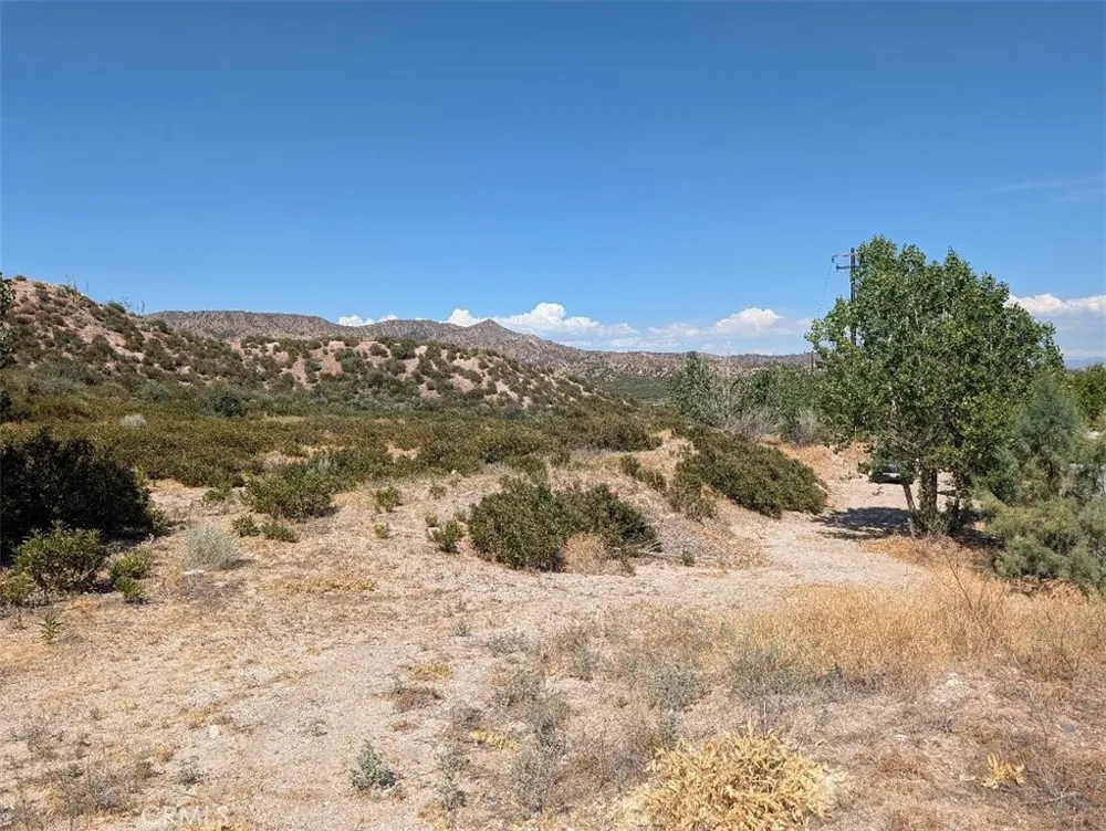 6263 Dusty Phelan, CA 92371