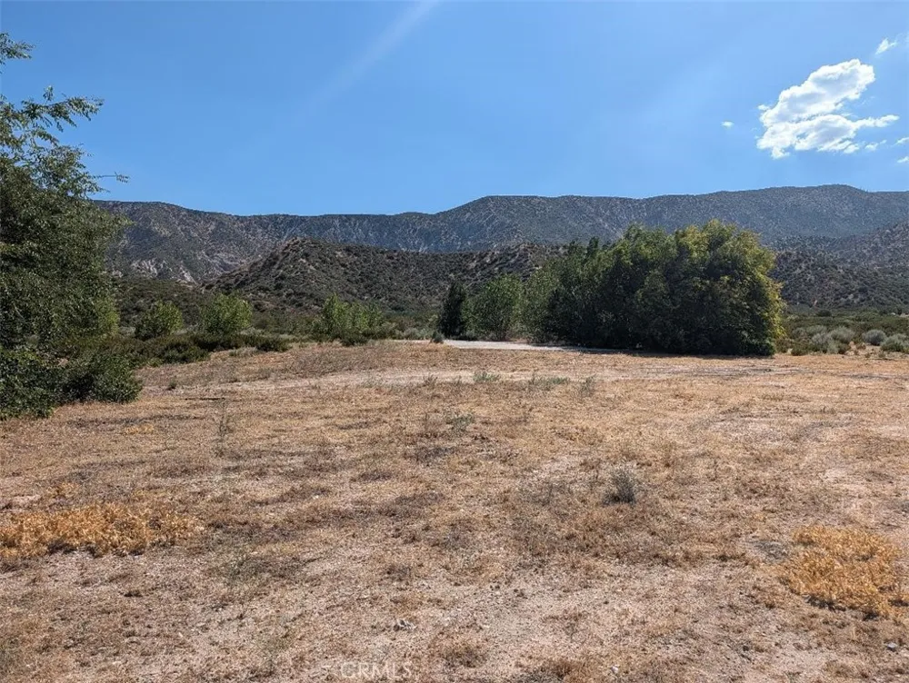 6263 Dusty Phelan, CA 92371