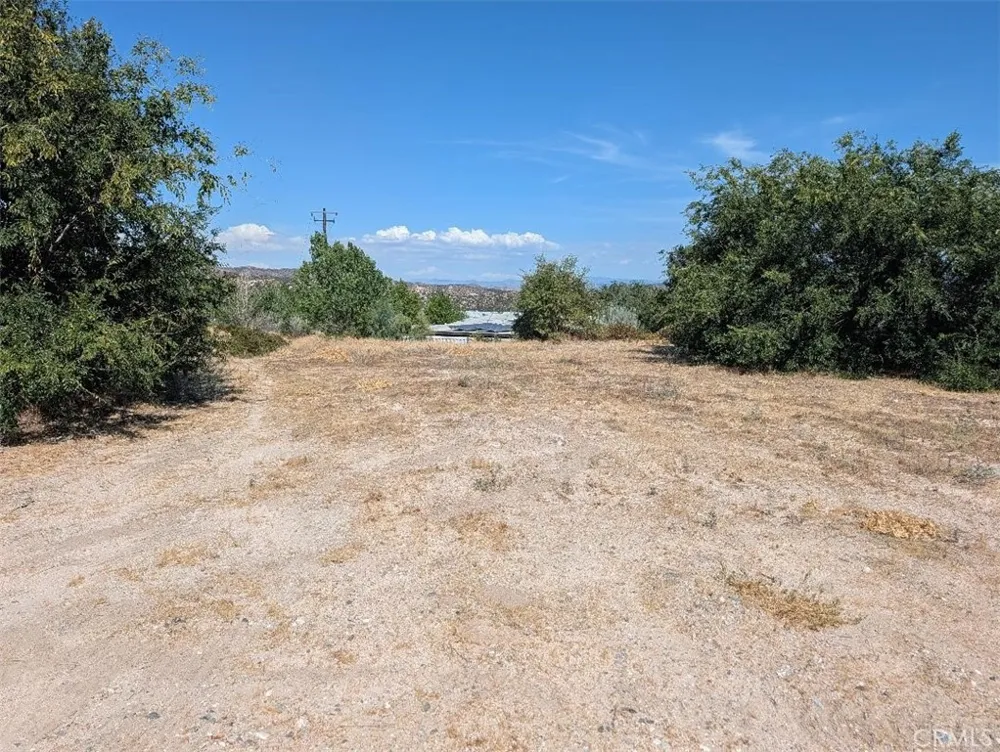 6263 Dusty Phelan, CA 92371