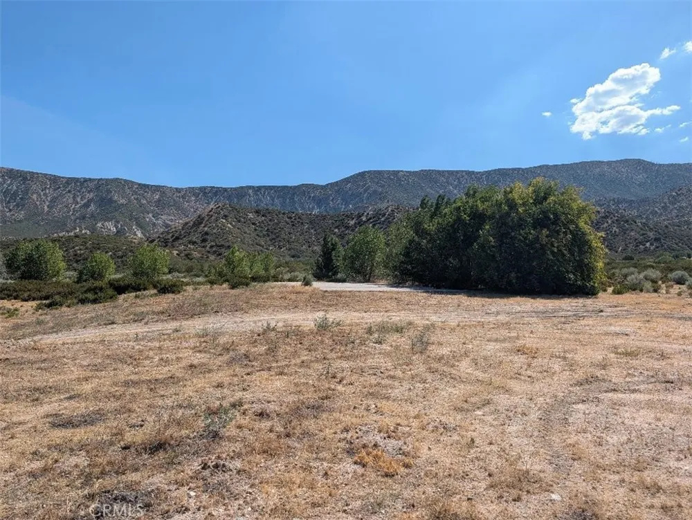 6263 Dusty Phelan, CA 92371