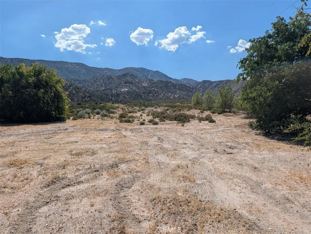 6263 Dusty Phelan, CA 92371