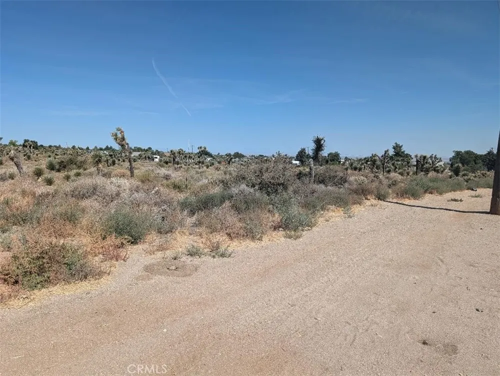 12 Sheep Creek Phelan, CA 92371