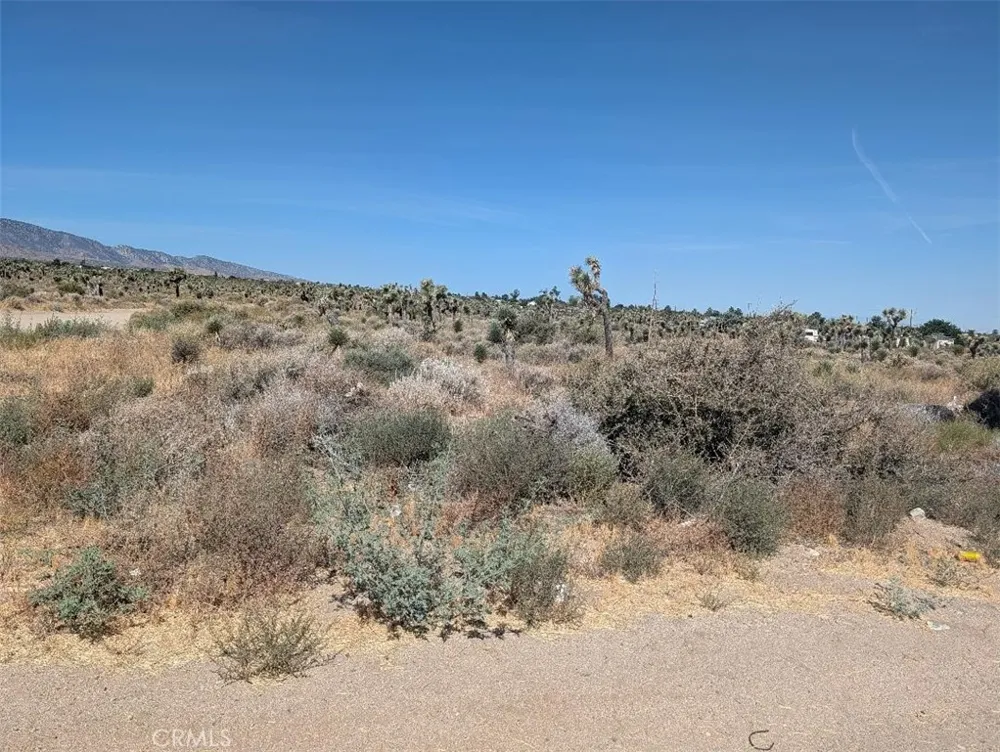 12 Sheep Creek Phelan, CA 92371