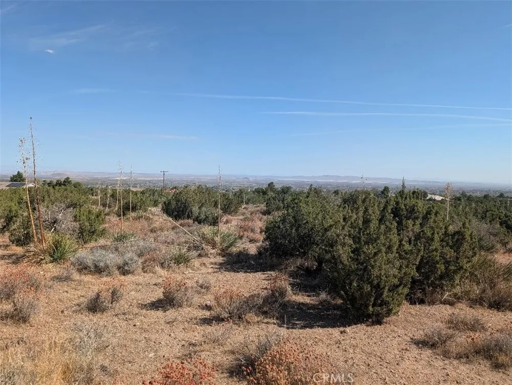 12 Tamarack Pinon Hills, CA 92372
