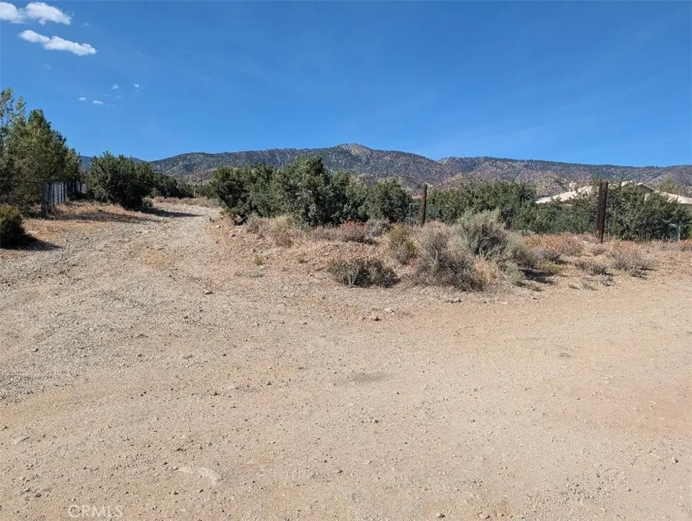 12 Tamarack Pinon Hills, CA 92372