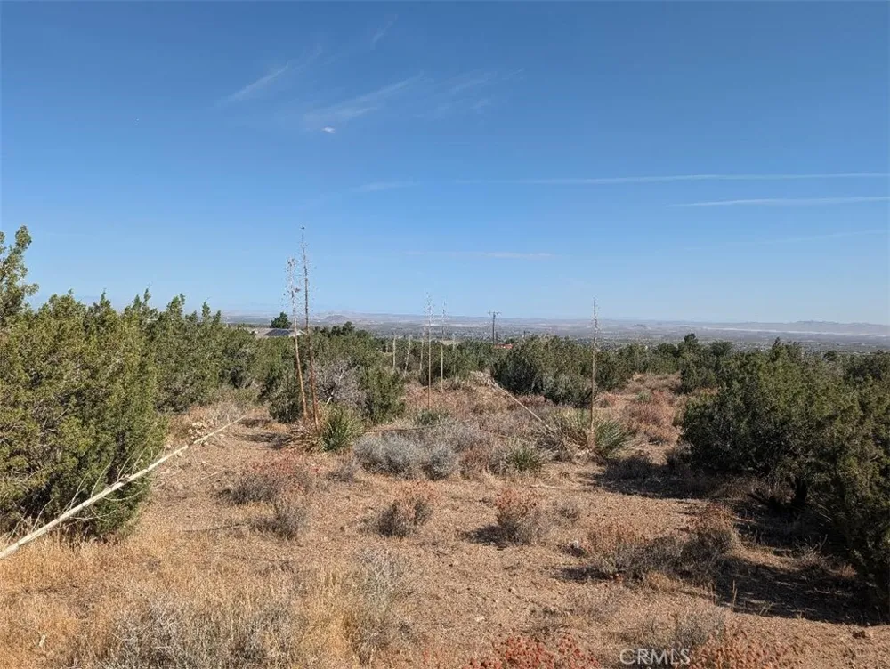 12 Tamarack Pinon Hills, CA 92372