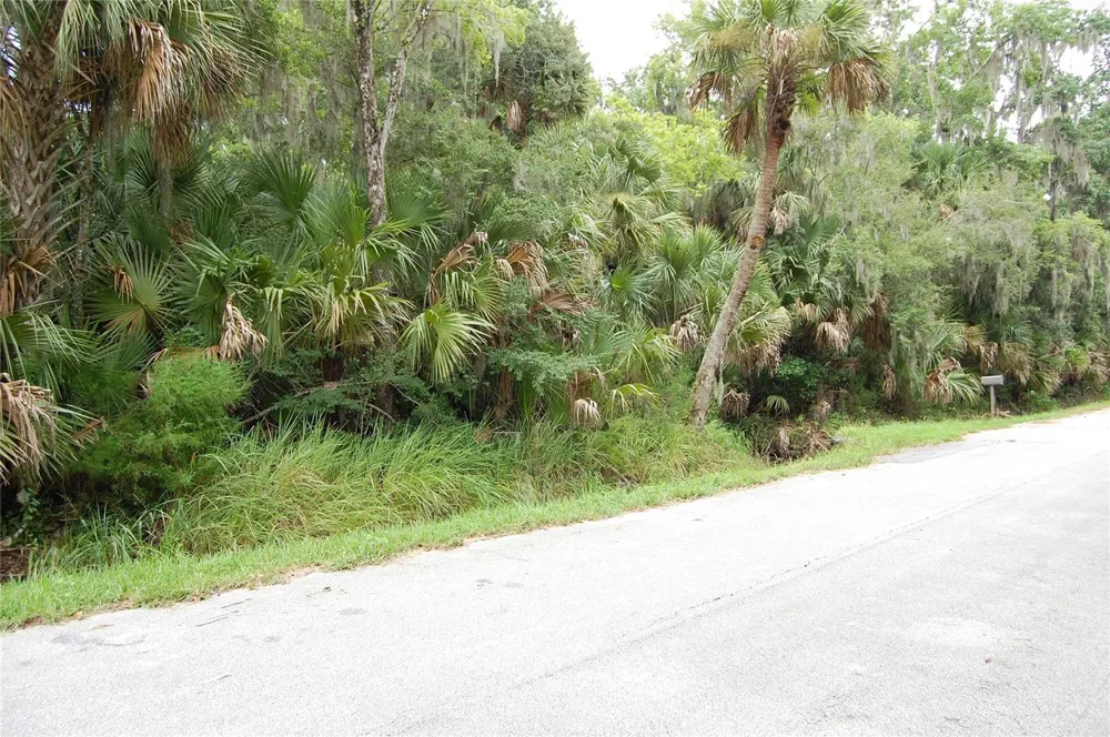 PALM DRIVE New Smyrna Beach, FL 32168