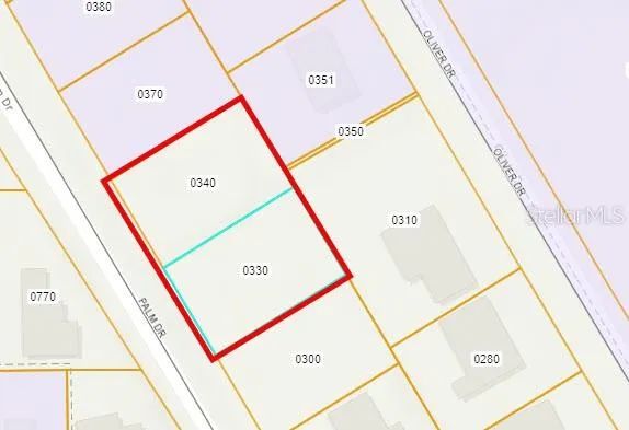 PALM DRIVE New Smyrna Beach, FL 32168