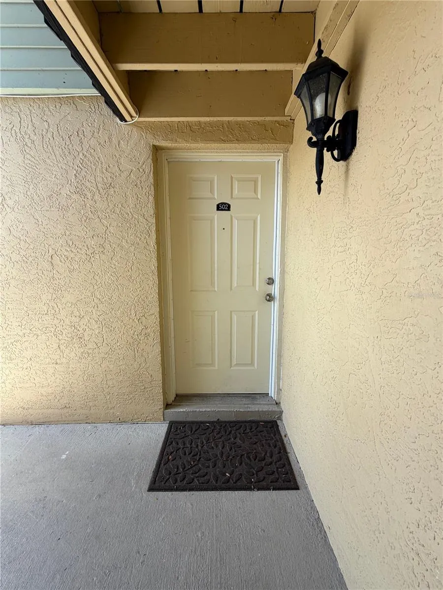 502 GOLDEN RAINTREE PLACE Brandon, FL 33510