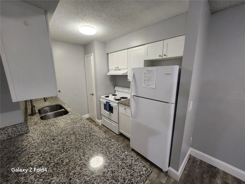 502 GOLDEN RAINTREE PLACE Brandon, FL 33510