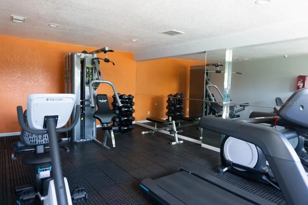 502 GOLDEN RAINTREE PLACE Brandon, FL 33510