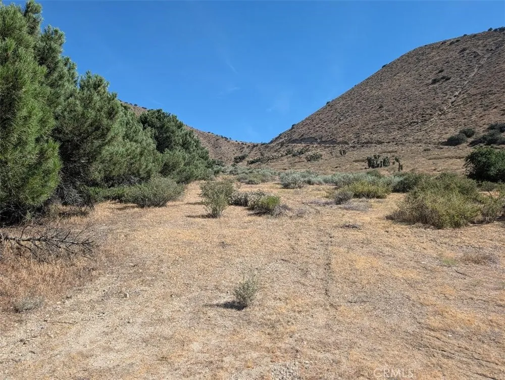 12 Paramount Phelan, CA 92371