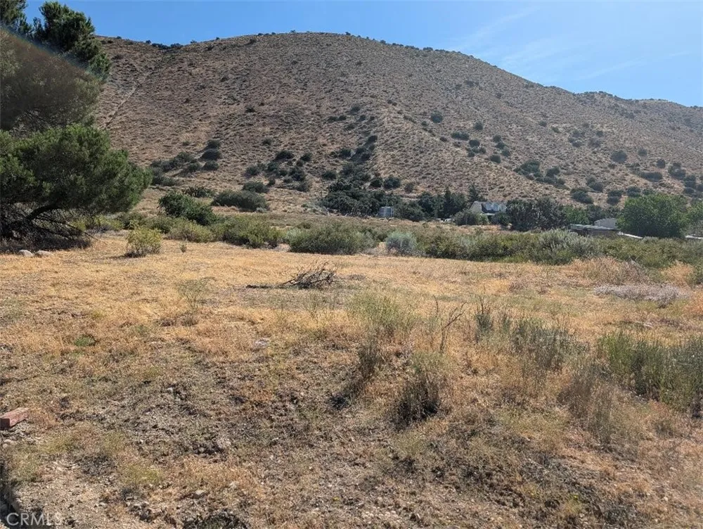 12 Paramount Phelan, CA 92371
