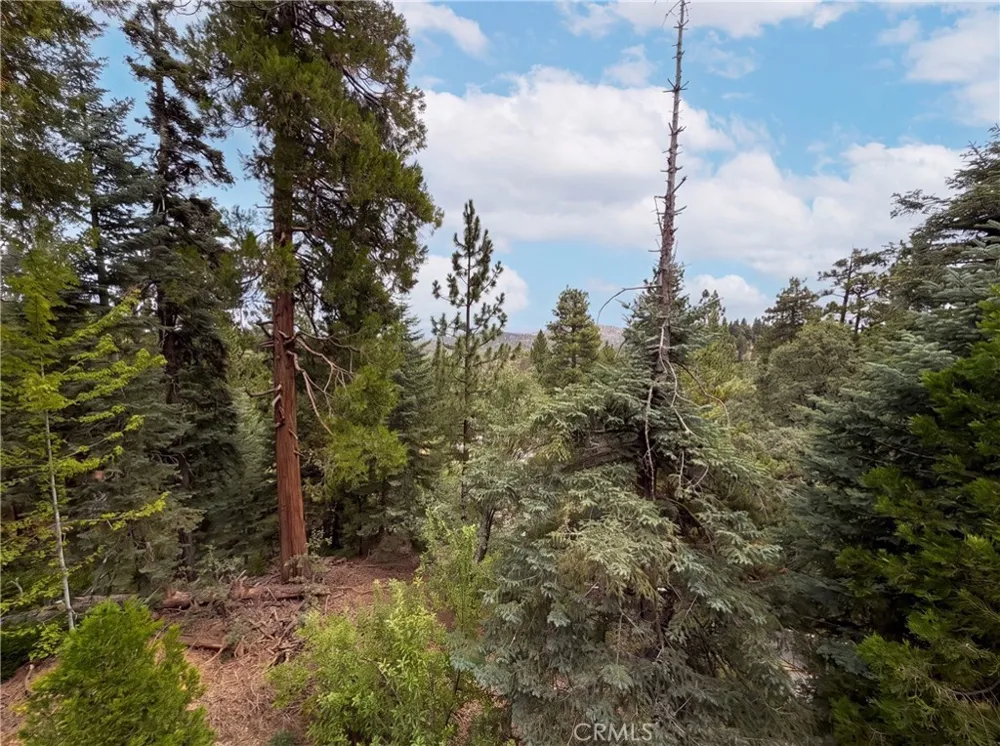 295 Fairway Lake Arrowhead, CA 92352