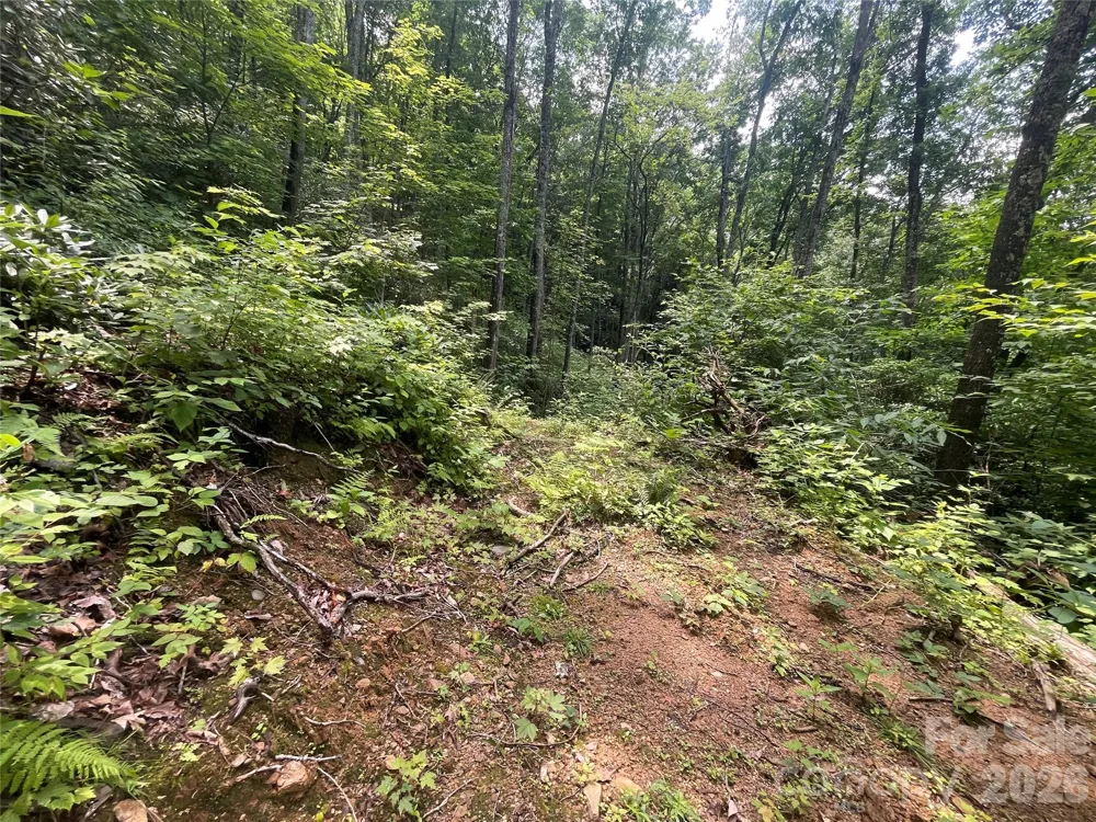 242 Floyd Road Waynesville, NC 28786