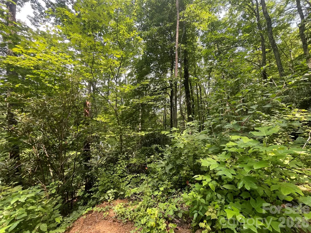 242 Floyd Road Waynesville, NC 28786
