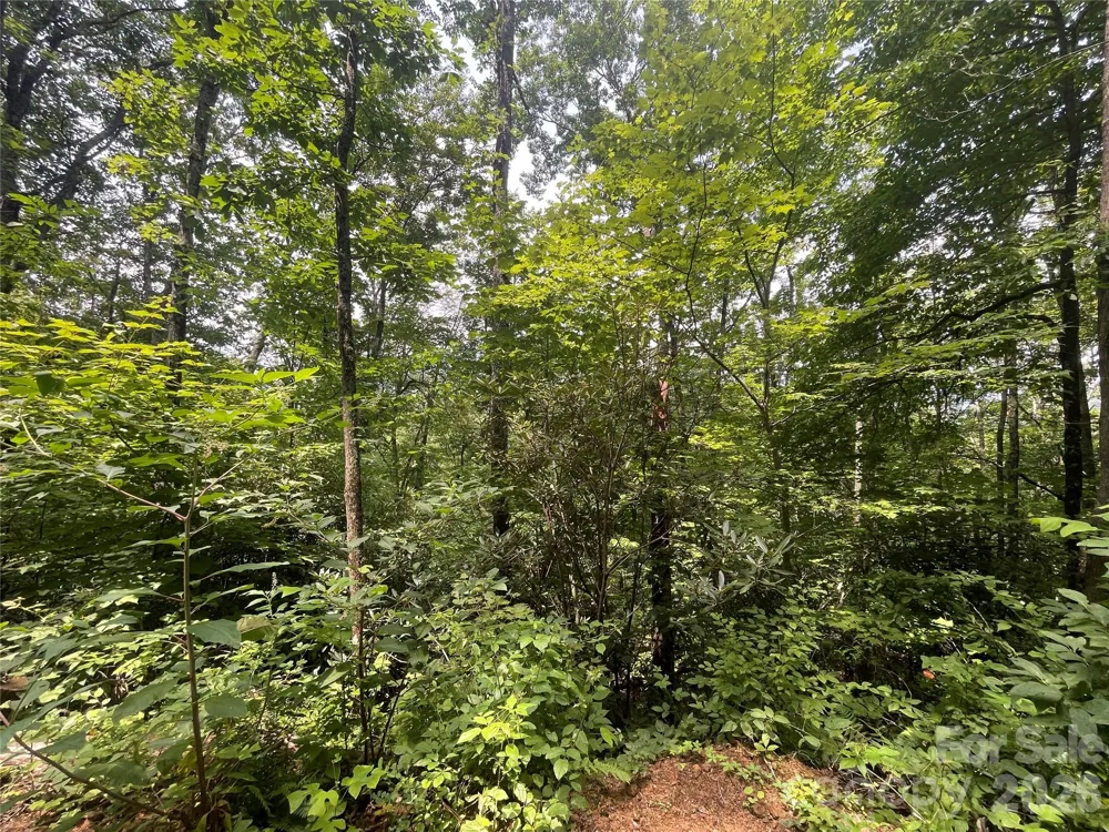 242 Floyd Road Waynesville, NC 28786