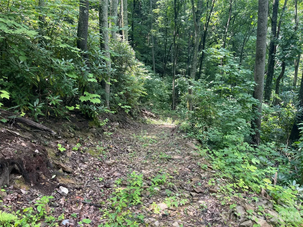 242 Floyd Road Waynesville, NC 28786