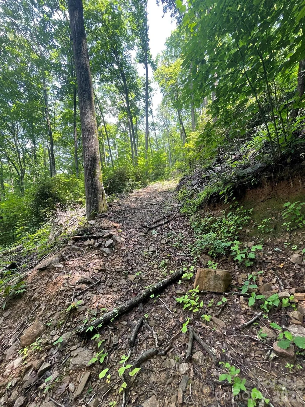 242 Floyd Road Waynesville, NC 28786
