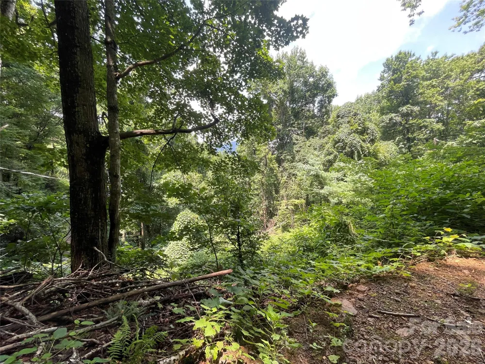 242 Floyd Road Waynesville, NC 28786