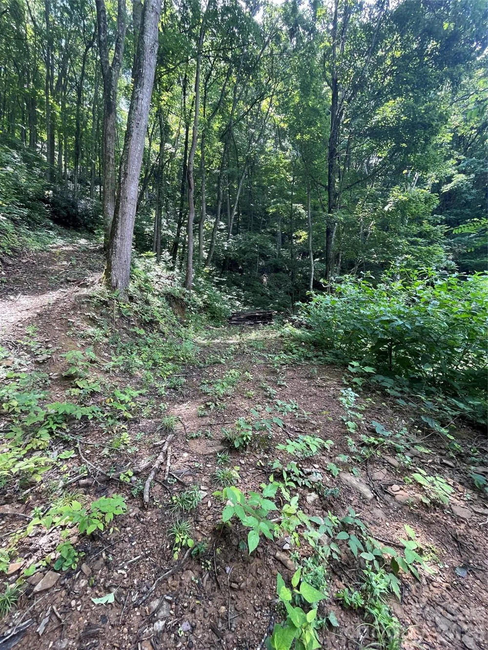 242 Floyd Road Waynesville, NC 28786