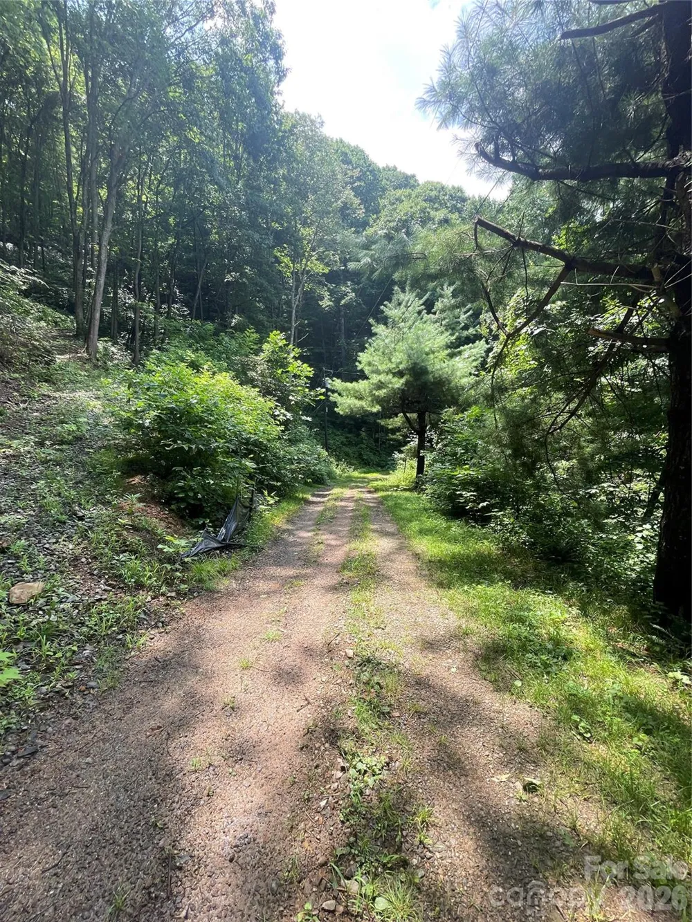 242 Floyd Road Waynesville, NC 28786