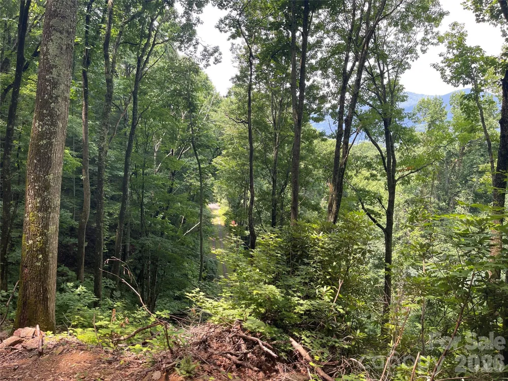 242 Floyd Road Waynesville, NC 28786