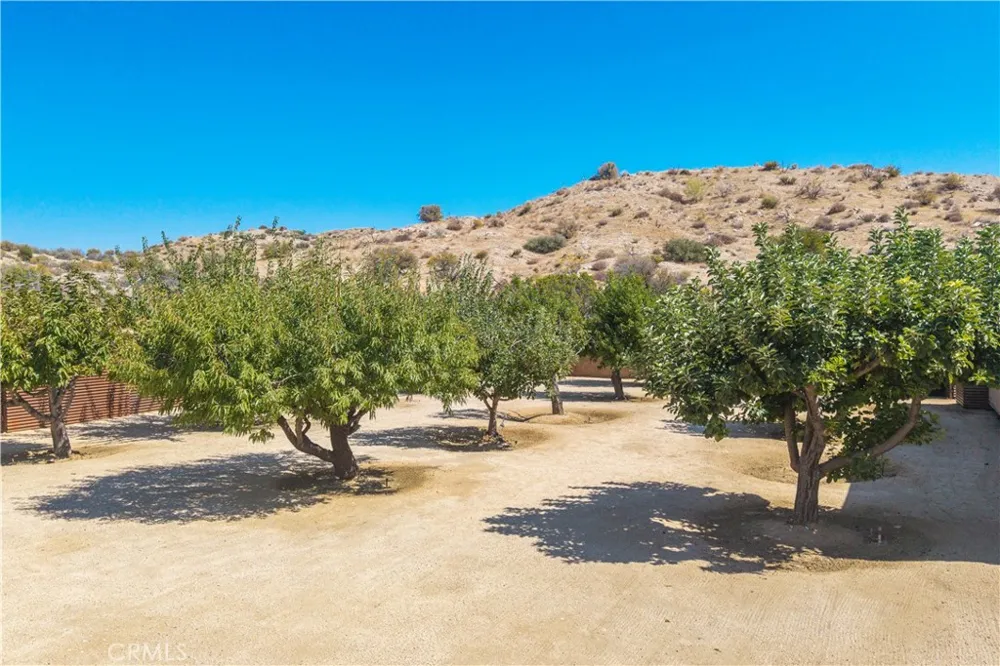 48869 Paradise Avenue Morongo Valley, CA 92256