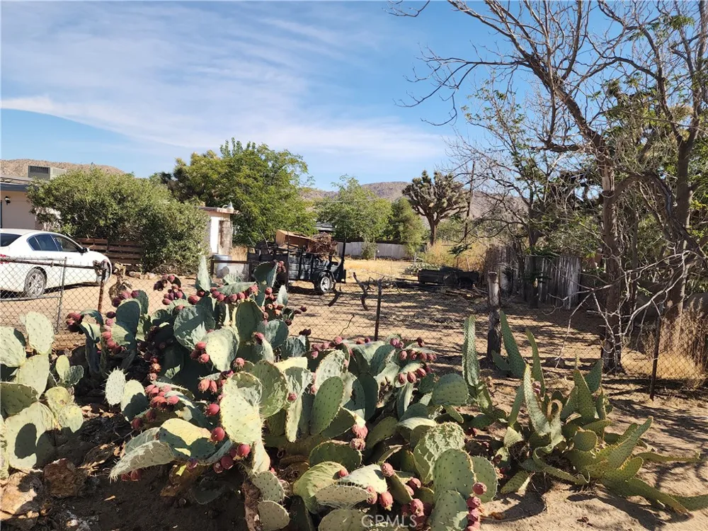7791 Mariposa Trail Yucca Valley, CA 92284