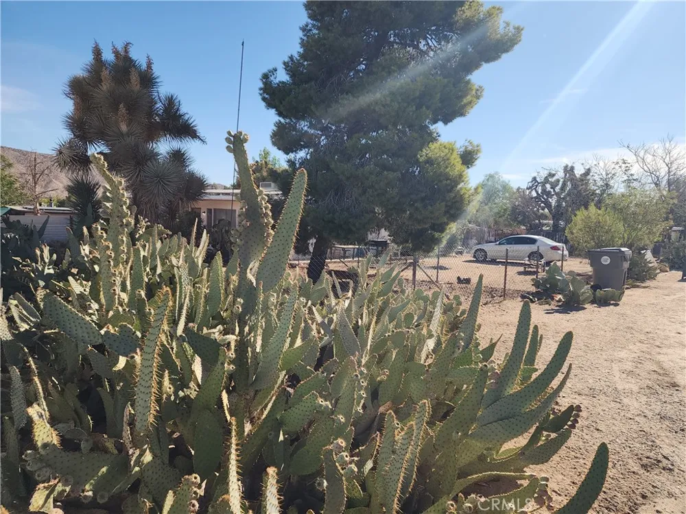 7791 Mariposa Trail Yucca Valley, CA 92284