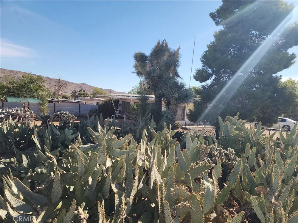 7791 Mariposa Trail Yucca Valley, CA 92284