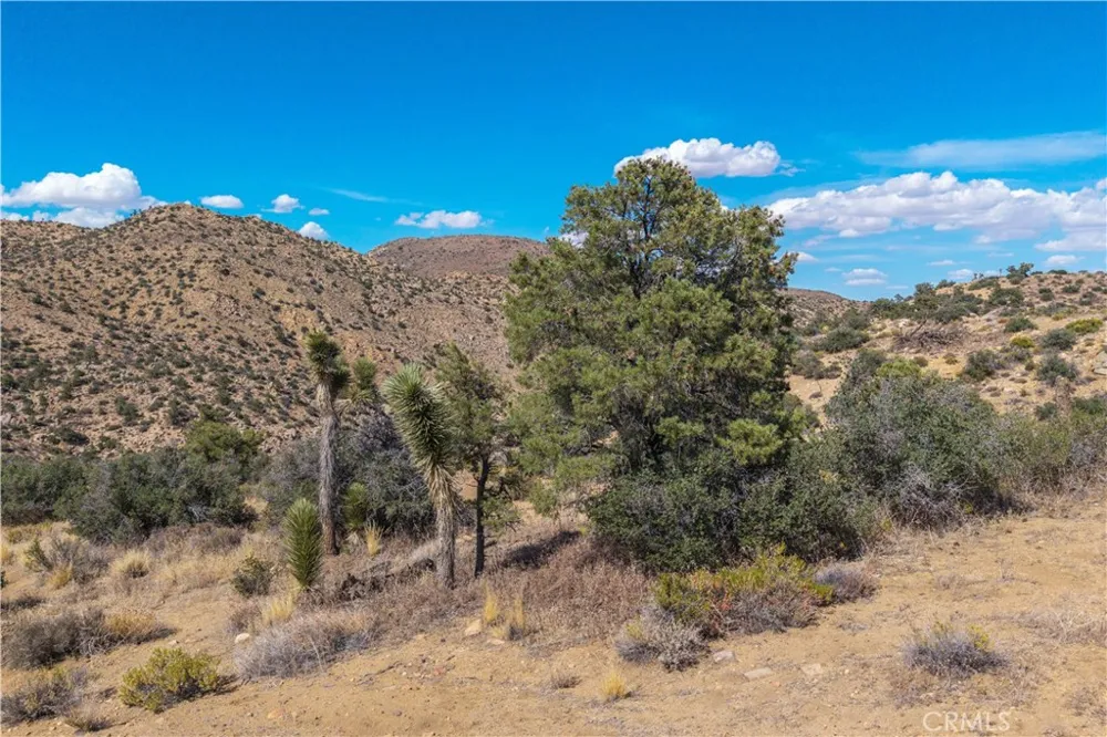 48620 Madison Road Pioneertown, CA 92268