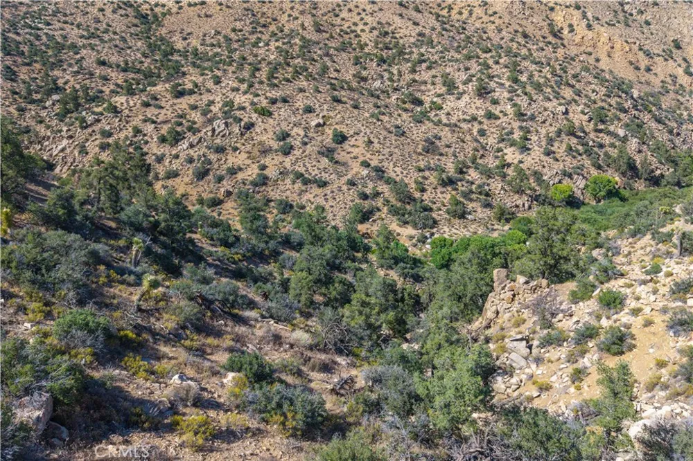 48620 Madison Road Pioneertown, CA 92268