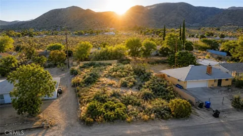 Knobb Avenue