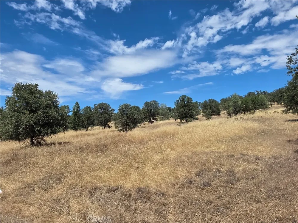 1910 New Long Valley Clearlake Oaks, CA 95423
